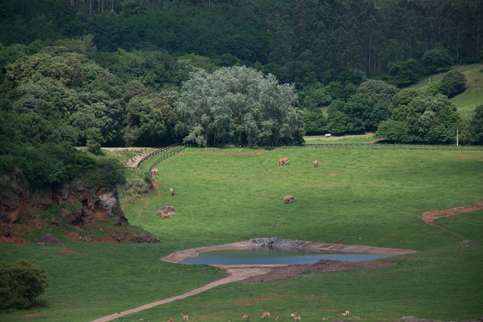 Parque Natural de Cabárceno